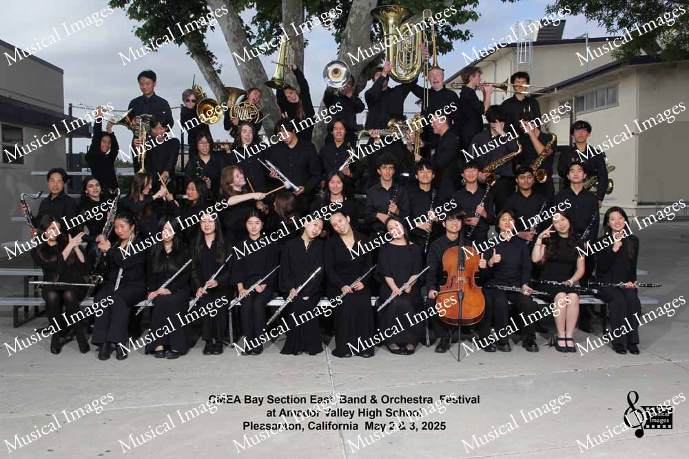 Musical Images